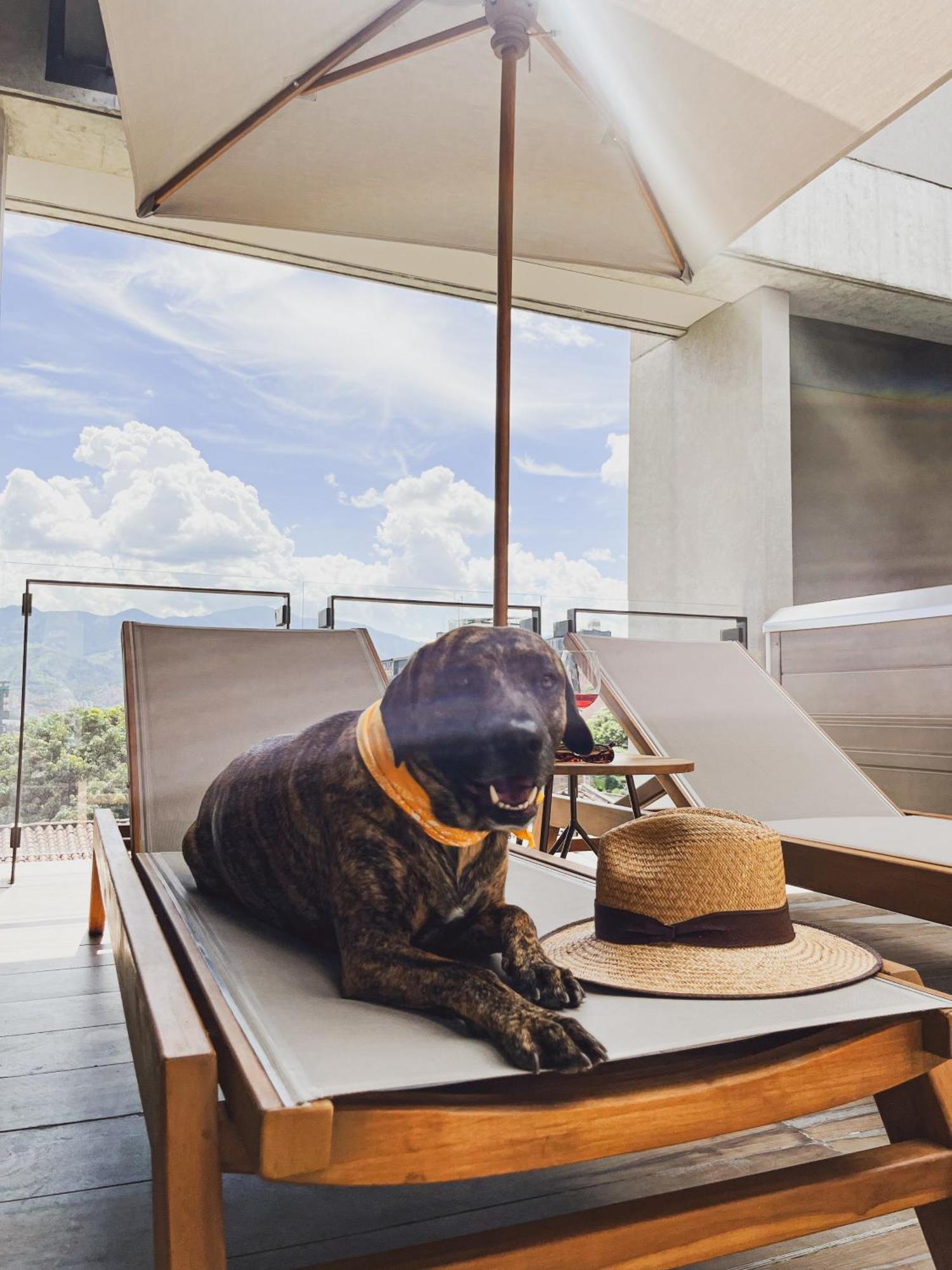Topa House Medellin Exterior photo